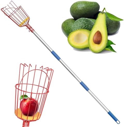 Unealtă pentru cules fructe, Pol de cules fructe de 5,5 ft cu coș telescopic, Culegător de mere cu pol extensibil, Culegător și prindător de fructe cu pol din oțel inoxidabil pentru mango, portocale, smochine, lămâi.  |  Alegerea grădinăritului Alegerea grădinăritului Alegerea grădinăritului